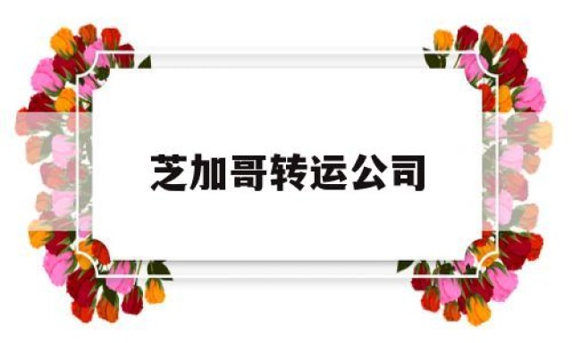 芝加哥转运公司