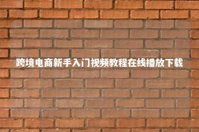 跨境电商新手入门视频教程在线播放下载 跨境电商自学视频