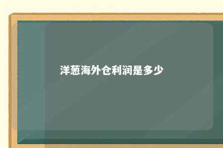 洋葱海外仓利润是多少