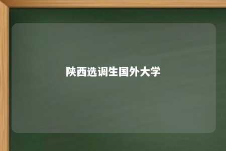 陕西选调生国外大学