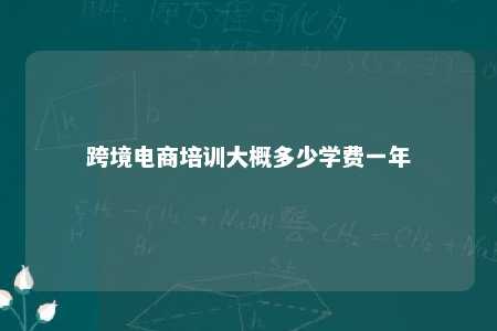 跨境电商培训大概多少学费一年