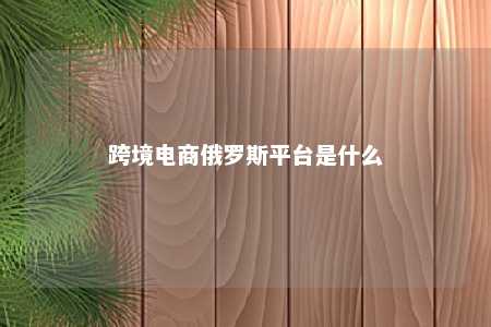 跨境电商俄罗斯平台是什么