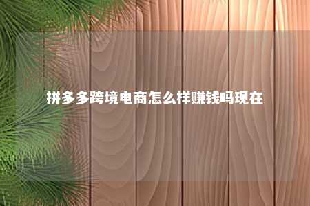 拼多多跨境电商怎么样赚钱吗现在